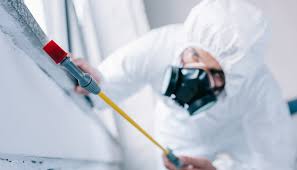 Best Pest Control for Multi-Family Homes  in Valley Falls, KS